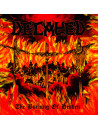 DECAYED - The Burning Of Heaven * CD *