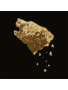 CRIPPLED BLACK PHOENIX - Bronze * DIGI ltd*