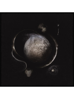 ENTHRONED - Cold Black Suns...