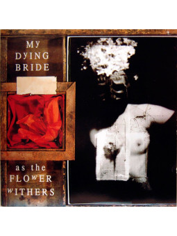 MY DYING BRIDE - As The...