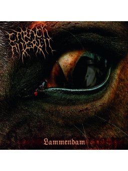 CARACH ANGREN - Lammendam *...