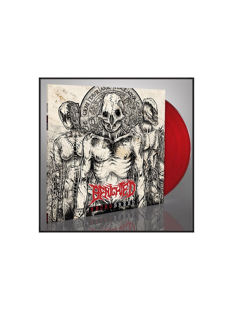 BENIGHTED - Necrobreed * LP Ltd *