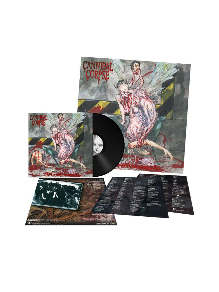 CANNIBAL CORPSE - Bloodthirst * LP *