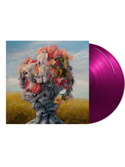 WILDERUN - Veil of Imagination * 2xLP Ltd *