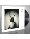 GAAHLS WYRD - GastiR - Ghosts Invited * LP *