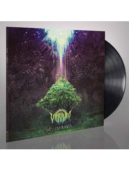 VIRVUM - Illuminance * LP *