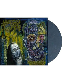 HAMMERS OF MISFORTUNE - Dead Revolution * LP Ltd *