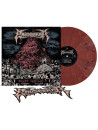 ENDSEEKER - Mount Carcass * LP Ltd *