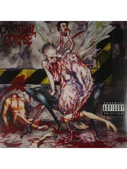 CANNIBAL CORPSE -...