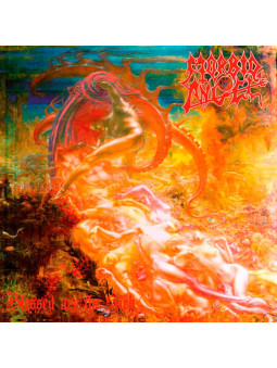 MORBID ANGEL - Blessed Are...