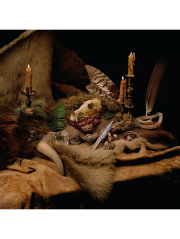 WOLVES IN THE THRONE ROOM -...
