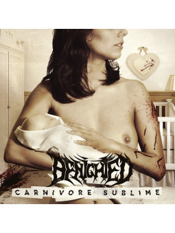 BENIGHTED - Carnivore...